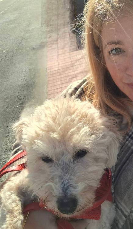 Carmen cliente verificada