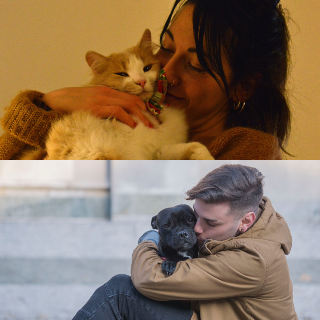 Chica que encuentra y abraza a su gato. Y chico que encuentra y abraza a su perro.