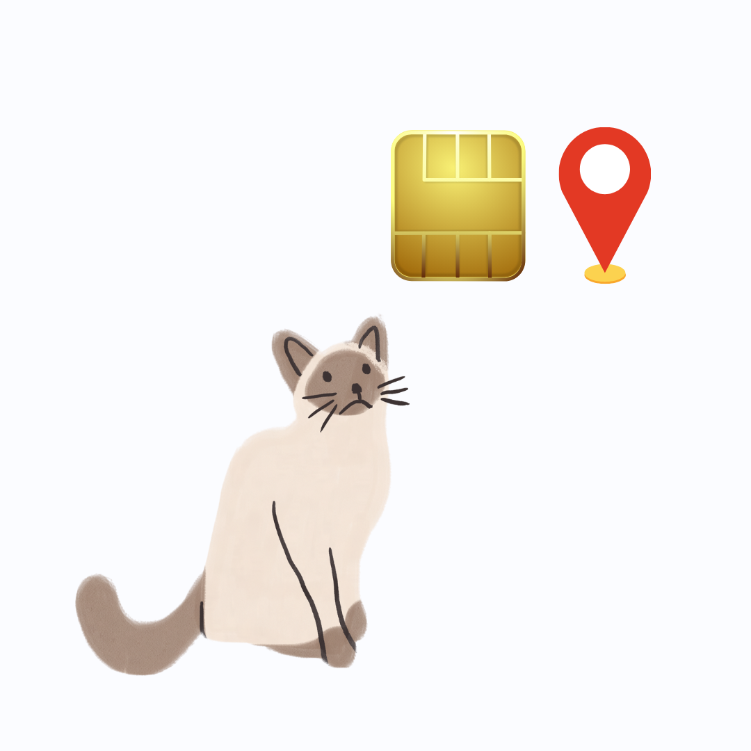 gato con un chip señalando su ubicación
