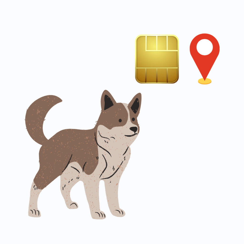 perro con un chip señalando su ubicación